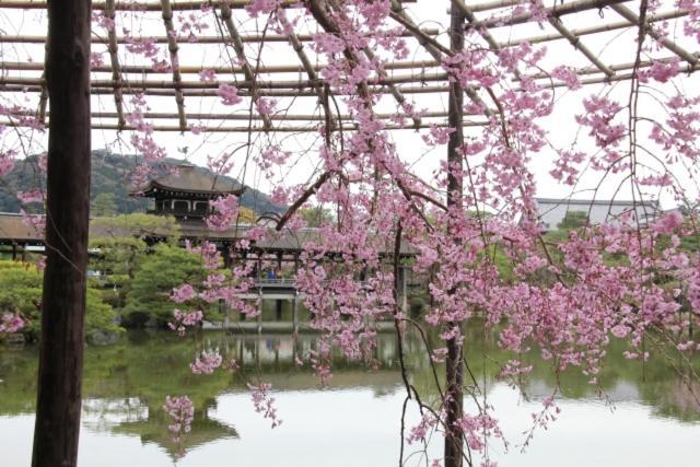 Rejoice Stay Kyoto Nijo Gekko Quioto Exterior foto